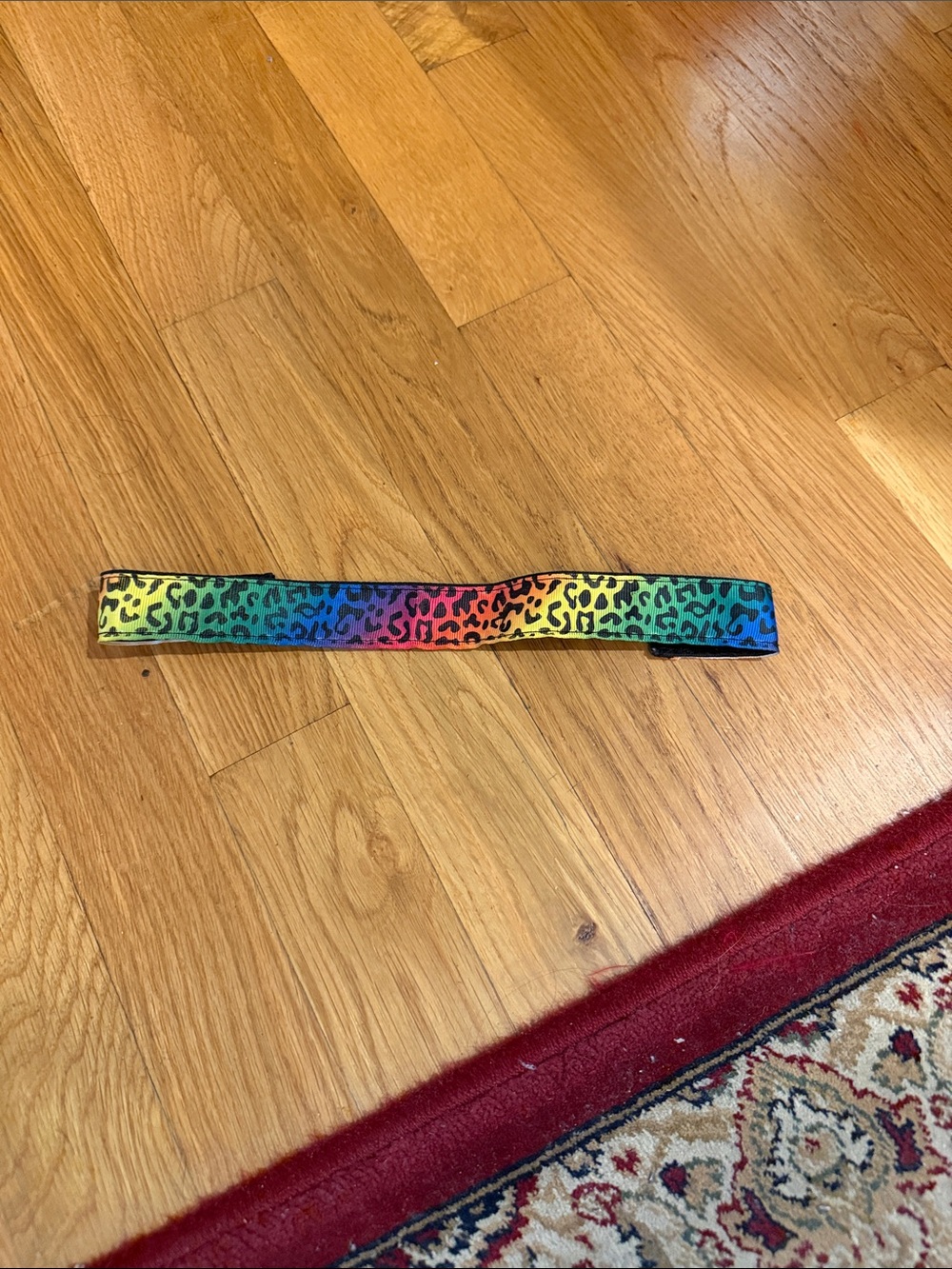 Rainbow Leopard Print Headband
